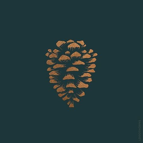 logothorns - Logo Thorns: Pinecone by Cody Petts. #logothorns Pinecone Logo Design, Pinecone Graphic, Pinecone Logo, Pinecone Illustration, Winter Design, Jolie Photo, Lino Print, Pine Cone, Linocut