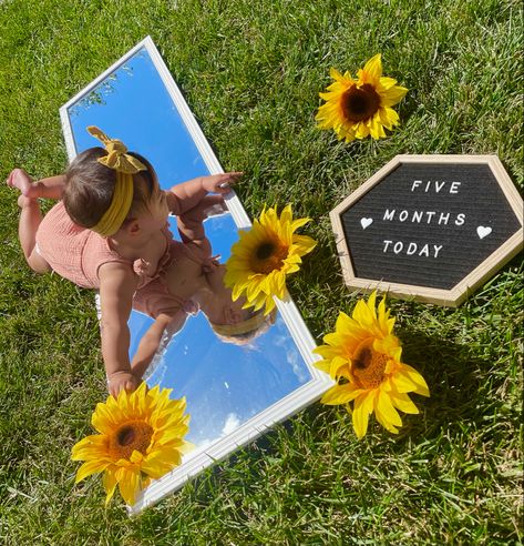 September Baby Monthly Pictures, Sunflower Photos, Baby Sunflower, 7 Month Baby, 6 Month Baby Picture Ideas, 5 Month Baby, 5 Month Old Baby, September Baby, Baby Mirror