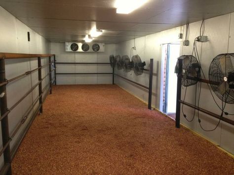 1000+ ideas about Cattle Barn on Pinterest | Horse fencing, Horse ... Cattle Barn Designs, Cool Room Ideas, Show Cattle Barn, Cow Barn, Livestock Barn, Show Steers, Show Cows, Cattle Barn, Barn Stalls