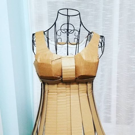 This Cardboard dress is looking good so far. I still have a lot of work to do. By Aline's Cardboard Cardboard Dress, Plastic Dress, Recycled Clothing, Recycle Clothes, Looking Good, Unique Pieces, Design Ideas, Two Piece Skirt Set, Photography