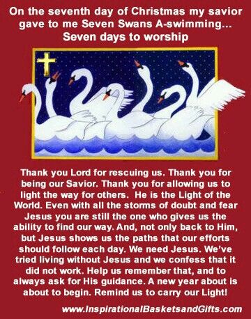 7th - Day of Christmas Epiphany Of The Lord, Seven Swans, My Savior, Christmas Poems, Childrens Bible, Christ The King, Christian Devotions, Thank You Lord, Light Of The World