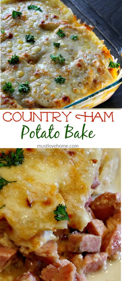 Rich and creamy Country Ham and Potato Bake is pure southern comfort food. Delicious chunks of ham, bathed in a rich cream sauce under a melted layer of cheese is great for brunch or dinner, and can be made ahead! Ham Dishes, Ham Dinner, Ham Potato, Southern Comfort Food, Baked Dinner Recipes, Ham Casserole, Leftover Ham Recipes, Potatoes Recipes, Country Ham