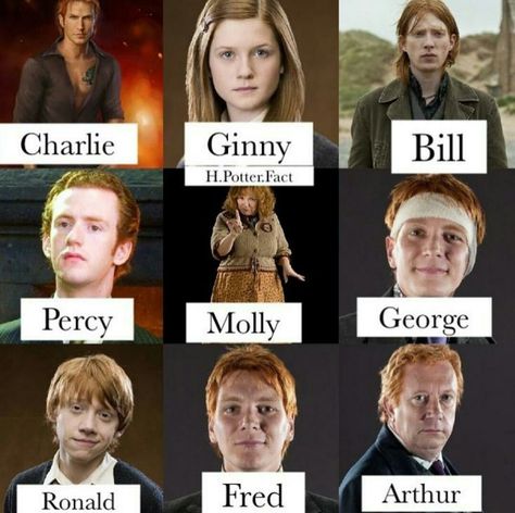 Characters In Harry Potter, Meme Harry Potter, Harry Potter Fanları, Film Harry Potter, Citate Harry Potter, Funny Harry Potter Jokes, Lily Potter, Buku Harry Potter, Harry Potter Feels