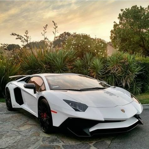 Cars Affordable, Lamborghini Luxury, Kereta Sport, Lamborghini Aventador Roadster, Tmax Yamaha, Aventador Lamborghini, Lamborghini Lamborghini, Cars Lamborghini, Best Sport