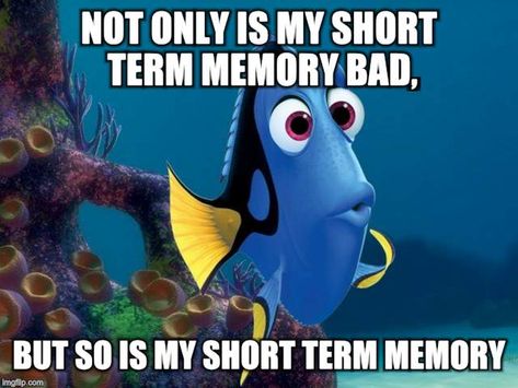 Image tagged in funny memes,dory from finding nemo Dory Memes, Nemo Memes, Dory Quotes, Humor Disney, Dory Finding Nemo, Bored Teachers, Disney Pixar Characters, Pixar Characters, Funny Disney Jokes