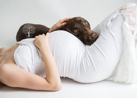 Dog And Pregnant Belly Photo Ideas, Dog And Pregnant Belly, Maternity Poses With Dog, Maternity Photoshoot With Dog, Maternity Shoot With Dog, Baby Belly Pictures, Pregnancy Bump Photos, Maternity Photography Winter, Home Maternity Photography