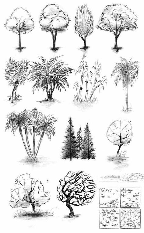 Tree Drawings Pencil Sketches, Landscape Design Drawings Sketches, Landscape Drawings Pencil, Simple Landscape Drawing, Ink Drawing Techniques, Landscape Design Drawings, Tree Drawings Pencil, Nature Art Drawings, Tree Sketches