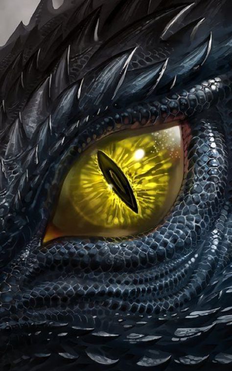 Black Dragon, A Dragon, The Eye, Yellow, Black