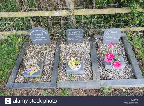 Download this stock image: Graves, headstones for dead dogs with fresh flowers next to St. Matthew's Church,Borth,near Aberystwyth, Ceredigion, Mid Wales - EMG7F1 from Alamy's library of millions of high resolution stock photos, illustrations and vectors. Pet Grave Marker Diy, Dog Grave Ideas, Dog Headstone, Pet Memorial Ideas Dogs, Pet Cemetary, Pet Headstones, Pet Memorial Garden, Diy Marker, Pet Cemetery