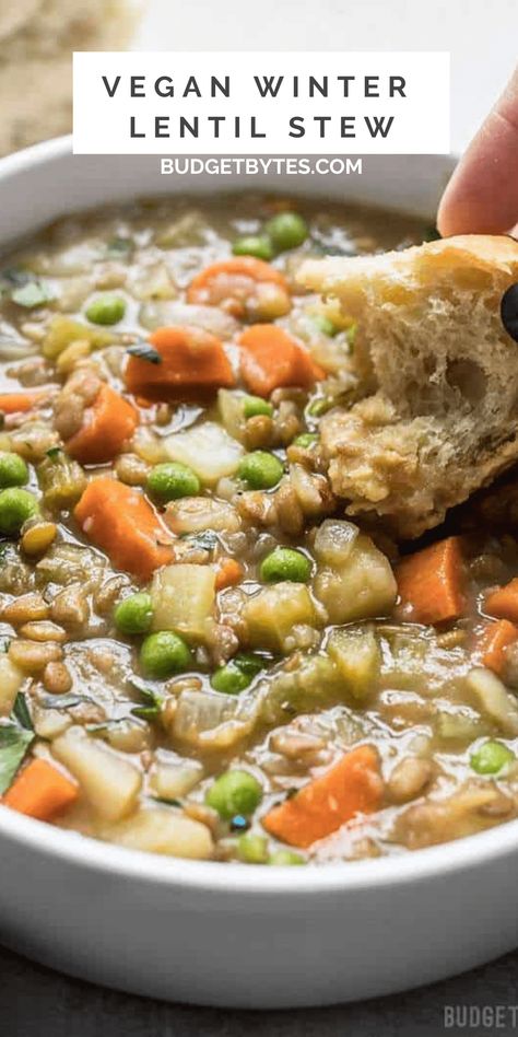 Vegan Lentil Stew Stew Healthy, Lentil Stew Recipes, Cold Weather Comfort Food, Garlic Beef, Vegan Lentil, Budget Bytes, Lentil Stew, Lentil Recipes, Cabbage Soup