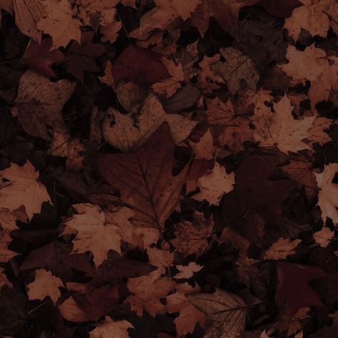 Dark Brown Nature Aesthetic, Umber Aesthetic, Brown Forest Aesthetic, Charlie Spring Aesthetic, Aesthetic Autumn Leaves, Dark Academia Widget, Crochet Instagram, Fall Mood Board, Aesthetic Shorts