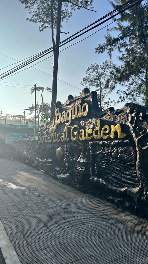 Botanical Garden, Baguio City Baguio Botanical Garden, Baguio City Photography Landscape, Baguio Philippines Aesthetic, Baguio City Aesthetic, Baguio Aesthetic, Baguio City Photography, Philippines Baguio, Philippines Aesthetic, Solo Life