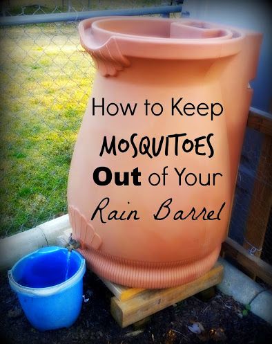 Barrels Diy, Rain Barrels, Water Barrel, Rain Collection, Rainwater Harvesting, Water Collection, Rain Barrel, Rain Water Collection, Veggie Garden