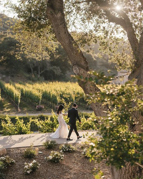 Leila and Arash under the California sun. A tuscan inspired wedding set in a winery with views of the vineyard. The bride wore a romantic, yet glam gown by @berta. 😍 Venue @monserateweddings @monseratewinery Planning @palmandpineevents Photographer @laurenalatriste Video @exosweddings Specialty rentals @adorefolklore @catalogatelier Florist @jlfloralboutique Drummer @marckhoory Dance floor and tables @2createdesigns Cake @eleganceondisplaybakery Beauty @beauty.by.chelsearoach Hair... Napa Winery Wedding, Winery Wedding Photography, Vineyard Wedding Aesthetic, Glam Gown, Tuscan Inspired Wedding, Romantic Couple Poses, Berta Bridal, Tuscan Inspired, Tuscan Wedding