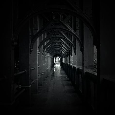 B&W Dark Academia Aesthetic Hallway, Dark Academia Corridor, Creepy Hallway, Creepy Hallway Aesthetic, Hallway Liminal Space, Grey Hallway, Dark Hallway, Long Hallway, Hallway Lighting