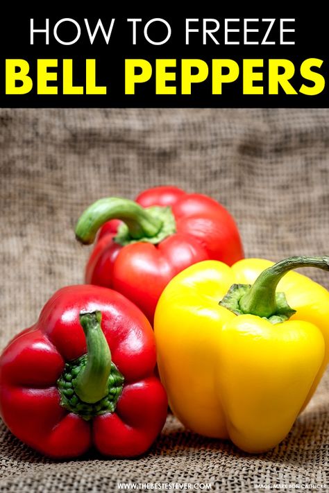 Want to know how to freeze bell peppers properly? This short guide will show you exactly what you need to do.  #bellpeppers #freezefood #freeze #kitchenhacks #kitchentips #foodhacks #foodtips #cooking #cookingtips #cookinghacks Freezing Red Bell Peppers, Freezing Red Peppers, How To Freeze Red Peppers, Can You Freeze Bell Peppers, Can You Freeze Peppers, How To Freeze Bell Peppers, Freezing Roasted Peppers, Freezer Veggies, Freeze Bell Peppers