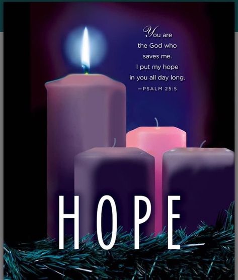 First Advent Sunday Hope, Hope Advent, Willow Tree Nativity Set, Advent Candles Meaning, Advent Catholic, Advent Hope, Psalm 25 5, Birthday Wishes For A Friend Messages, Advent Prayers