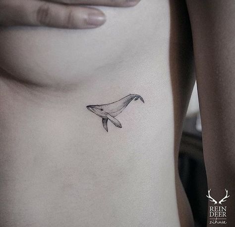 Un chat. Small Feminine Tattoos, Whale Tattoo, Whale Tattoos, Tattoo Trend, Shark Tattoos, Rib Tattoo, Nature Tattoos, Feminine Tattoos, Little Tattoos