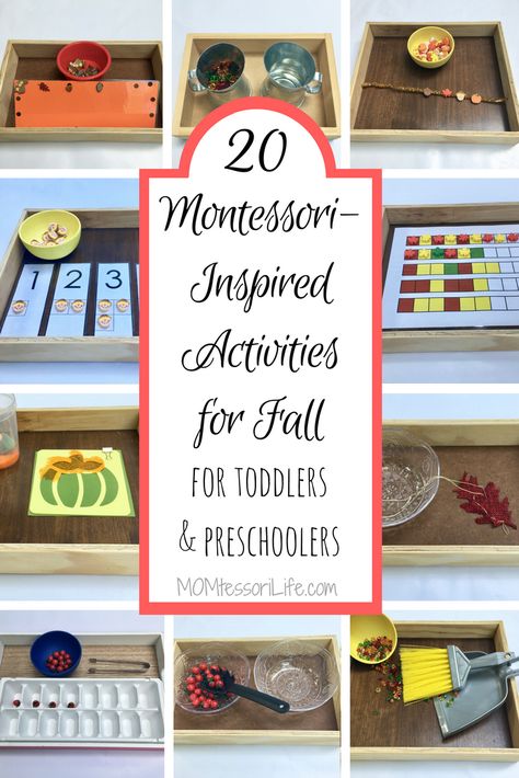 Preschoolers Activities, Montessori Shelves, Fall Activities For Toddlers, Montessori Trays, Montessori Activities Preschool, Practical Life Activities, Montessori Lessons, Fall Preschool Activities, Montessori Art