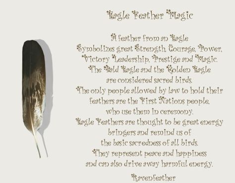 New Version of Eagle Feather Magic *Please check your local and federal guidelines for feather collection and possession!* Eagle Feather Meaning, Feather Color Meaning, Feather Magic, Feather Meaning, Angel Feathers, Eagle Feathers, Spiritual Animal, Native American Wisdom, Animal Spirit Guides