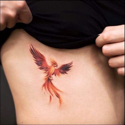 Phoenix On Fire Tattoo Feminine, Small Tattoos Phoenix For Women, Pheonix Tattoo For Women Color, Small Phoenix Tattoos Behind Ear, Fire Pheonix Tattoo For Women, Pheonix Tattoo Woman, Cool Phoenix Tattoo, Phönix Tattoo Design Women, Phoenix Tattoo With Color