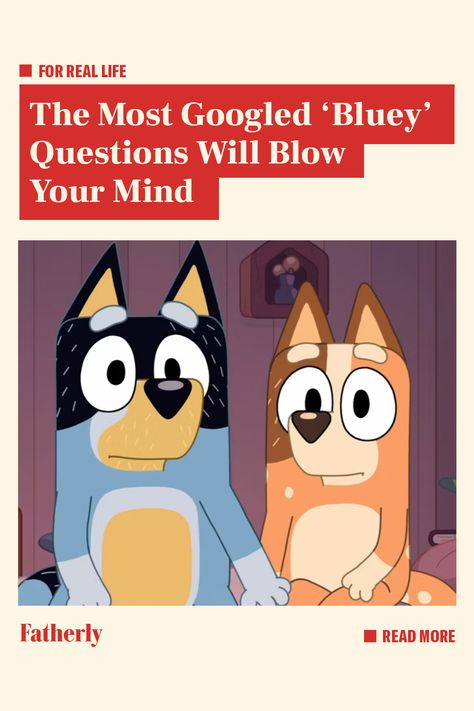 Think you know Bluey? Think again. Bluey Profile Photo, Bluey As A Human, Bluey Misscarage, Serious Topics In Bluey, Bingo Funny Bluey, Bluey Workout, Bluey Buzzfeed Quizzes, What Bluey Character Am I Quiz, Bluey Funny Moments