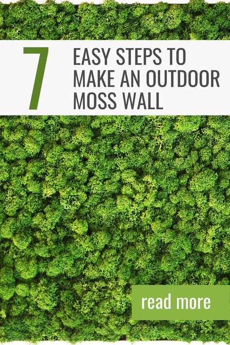 Moss Wall Outdoor, Peacock Plant, Wall Outdoor, Moss Garden, Indoor Herb Garden, Bathroom Plants, Moss Wall, Bedroom Plants, Wall Garden