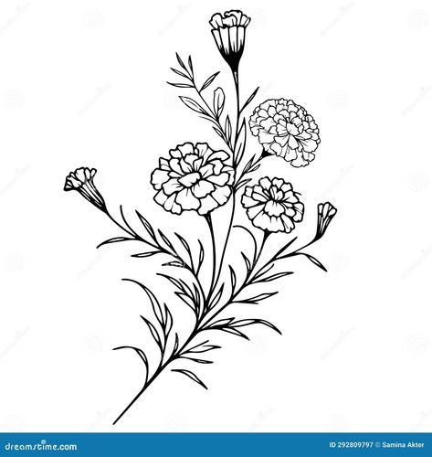 Marigold Drawing Tattoo Ideas, Black Marigold Tattoo, Mexican Marigold Tattoo, Marigold Doodle, Marigold Flower Tattoo Black And White, Marigold Line Drawing, Zinnia Flowers Drawing, Marigold Outline, Marigold Sketch