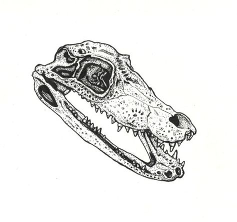 Alligator Tattoo, Skulls And Bones, Skull Drawing, Crocodiles, Back Tattoo, Reptiles, Skull Tattoo, Alligator, Skeleton