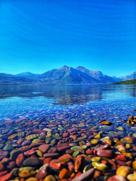 Lake Mcdonald, Montana. Rainbow colored rocks. Montana Rainbow Rock, Lake With Colored Rocks, Rainbow Lake Montana, Iceberg Lake Montana, Montana Rocks, Montana Itinerary, Lake Mcdonald Montana, Montana Homestead, Colored Rocks