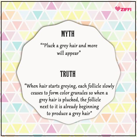 Plucking grey hair will not cause more white hair to grow. However, plucking is not an advisable activity because it can destroy the hair follicle and possibly lead to bald patches. #Tips #MythsVsFacts Bald Patches, Hair Follicle, Grey Hair, White Hair, To Grow, Pie Chart, Grey, Hair, White