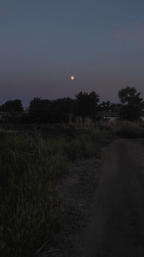 Iphone Background Dark Academia, Rural Night Aesthetic, Summer Night Background, Spring Night Aesthetic, Dark Meadow, Moon Place, Dark Summer, Spring Night, Grass Wallpaper