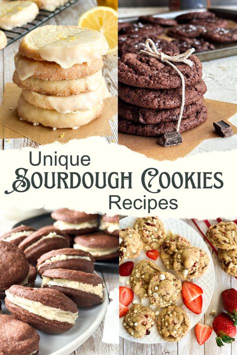 Look no further than this ultimate guide to unique sourdough discard cookies to try. This list of cookie recipes with sourdough starter is all you’ll ever need to make delicious cookies. From classic chocolate chip, to shortbread, to molasses cookies, to biscotti you’ll find the perfect sourdough recipe and figure out what to do with extra sourdough discard. Now you don’t have to waste it. Whether it’s Christmas, the fall holidays, a birthday party, spring or summer, this list has you covered. Sourdough Discard Thumbprint Cookies, Discard Christmas Cookies, Christmas Sourdough Discard Recipes, Christmas Cookies Sourdough, Sourdough Discard Holiday Recipes, Sourdough Discard Gingerbread Cookies, Sourdough Holiday Cookies, Discard Sourdough Cookies, Sourdough Sugar Cookie Recipe