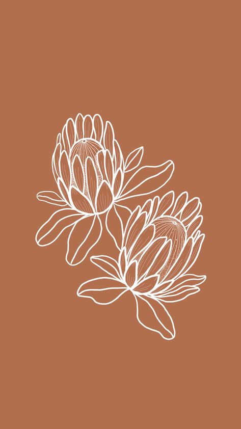 Banksia Flower Drawing, King Protea Illustration, Australian Flora Drawing, Line Botanical Drawing, Australian Flower Illustration, King Protea Drawing, Protea Line Art, King Protea Tattoo, Protea Flower Drawing