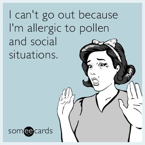 44 Hilarious E-Cards That Explain Exactly How You Feel About All Of Life’s Frustrations Spring Funny, Funny Confessions, Happy Things, E Card, Someecards, Board Ideas, Sarcastic Quotes, Food Allergies, Fun Quotes Funny