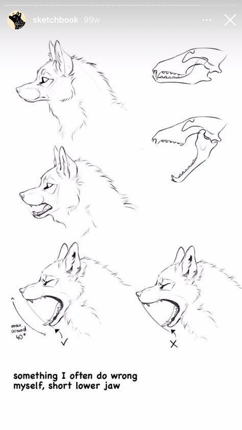 Wolf Head Tutorial, Wolf Paws Drawings, Wolf Art Tutorial, Canine Snout Reference, Wolf Paw Drawing Reference, Canine Drawing Reference, Wolf Side View Drawing, Wolf Tutorial Drawing, Wolf Open Mouth Drawing