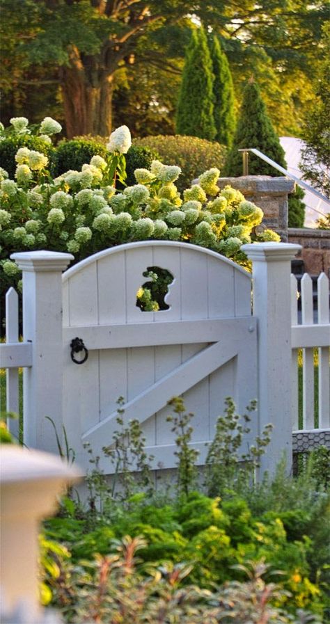 Wooden Garden Gate, Garden Gates And Fencing, Garden Gate Design, Flowers Growing, The Secret Garden, Fence Gate, White Gardens, Garden Structures, Wooden Garden