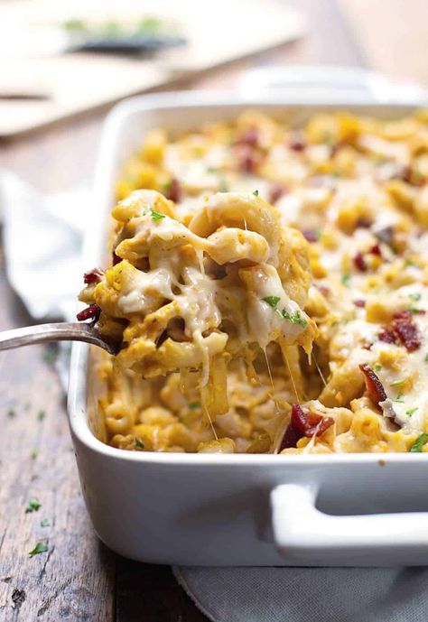 Chicken Bacon Pumpkin Pasta Bake Recipe - Pinch of Yum Chicken Macaroni Recipe, Pumpkin Pasta Bake, Savory Pumpkin Recipes, Pumpkin Dishes, Pumpkin Spice Recipe, Pumpkin Sauce, Macaroni Recipes, Pumpkin Pasta, Baked Pasta Recipes