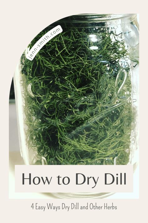 Preserving the Taste: How to Dry Dill for Long-Term Storage - Jenn Giam Smith Dry Dill How To, Cheese Curds Recipe, Preserve Fresh Herbs, German Potato Pancakes, Fried Cheese Curds, Dried Dill, Making Jerky, German Potatoes, Scallion Pancakes