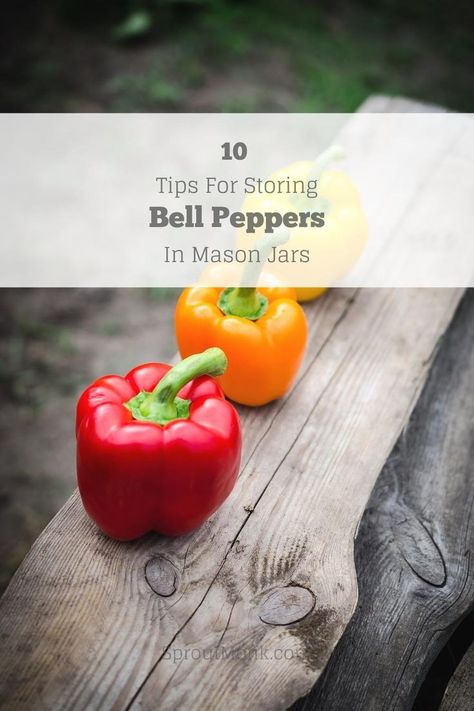 How to store bell peppers in mason jars? Do you want to know more about it? Check out this step-by-step guide! FAQs included. Storing Bell Peppers, Backyard Farming, How To Store, Bell Peppers, Food Hacks, Mason Jar, Stuffed Bell Peppers, Peppers, New Recipes