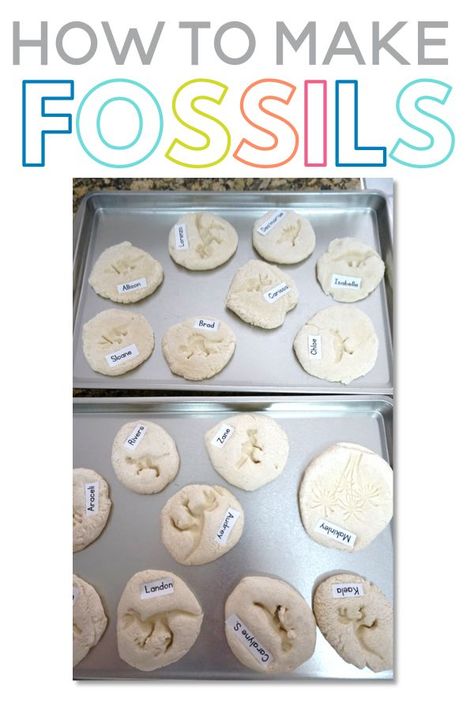 Making Fossils In The Classroom, Salt Dough Fossils, Fossils Lesson, Diy Fossils, Fossils Activities, Make Salt Dough, How To Make Salt Dough, Geology Art, Dinosaur Activities Preschool