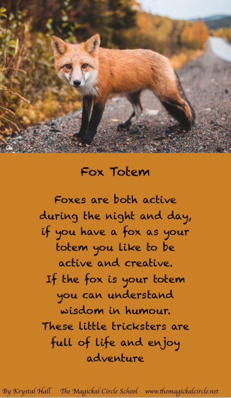 Fox Therian Pfp, Therian Drawing, Spirit Animal Fox, Fox Spirit Animal, Universe Light, Spirit Element, Fox Paintings, Fox Facts, Fox Therian