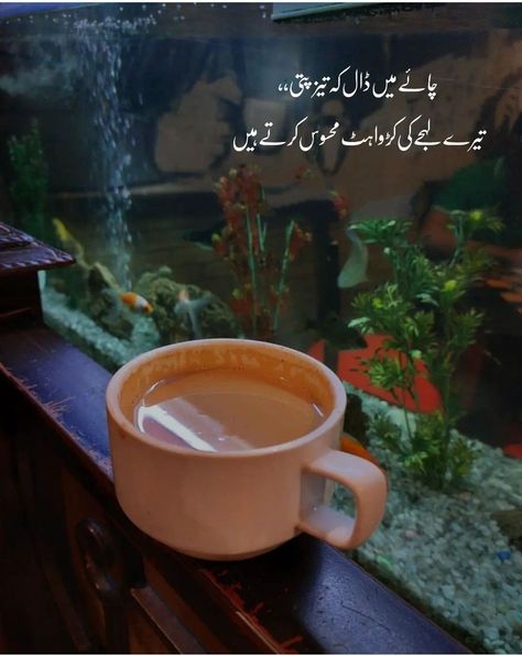 Chai Urdu Poetry - چائے شاعری Chai Poetry, Sweet Good Morning Images, Tea Lover Quotes, Chai Quotes, Romantic Poetry Quotes, Cold Coffee Recipes, Aesthetic Captions, Words That Describe Feelings