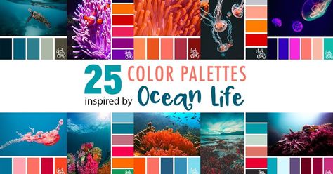 Take a dive under the sea with these beautiful color combinations inspired by ocean life and Living Coral - PANTONE’s 2019 Color of the Year. Sarah Renae Clark, Summer Color Palettes, Design Color Trends, Pantone Fall, Christmas Color Palette, Color Boards, Classic Color Palette, Winter Color Palette, Color Catalog