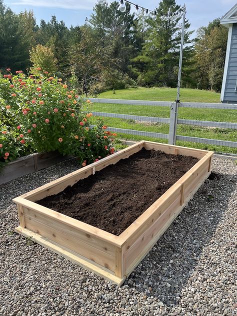 How to Make a Cedar DIY Raised Garden Bed » Tree Farm Design Co. Raised Bed Garden Ideas, Bed Garden Ideas, Above Ground Garden, Diy Raised Garden Bed, Garden Ideas To Make, Cedar Raised Garden Beds, Raised Bed Garden, Building Raised Garden Beds, Cedar Garden