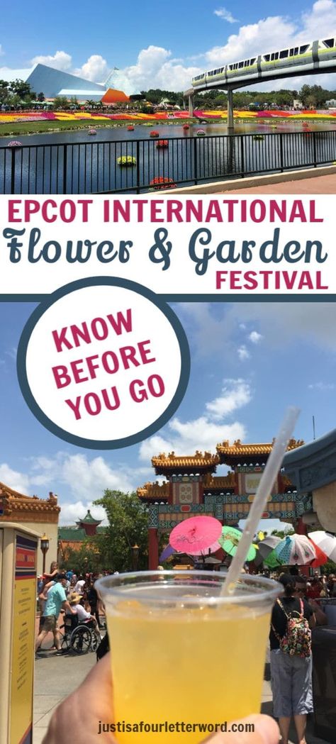 Mistakes to Avoid at Epcot International Flower and Garden Festival 2020 Flower And Garden Festival Epcot, Disney World For Adults, Disney World Secrets, Disney World Christmas, Disney World Hotels, Disney World Food, Disney World Epcot, Disney World Magic Kingdom, Disney Epcot