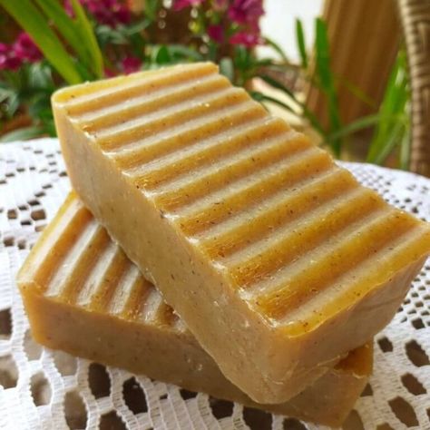 Neem Oil Soap, Diy Toiletries, Neem Soap, Easy Soap Recipes, Ayurveda Life, Coconut Milk Soap, Cold Process Soap Recipes, Handmade Soap Recipes, Coconut Soap