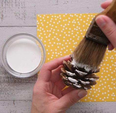 Pine Cones On A Stick, Painting Pine Cones For Christmas, Pine Comes, How To Color Pine Cones, Pine Cones Painting, Painting Pine Cones Diy, Spray Painted Pine Cones, Pine Cone Display Ideas, Pine Cone Art Projects