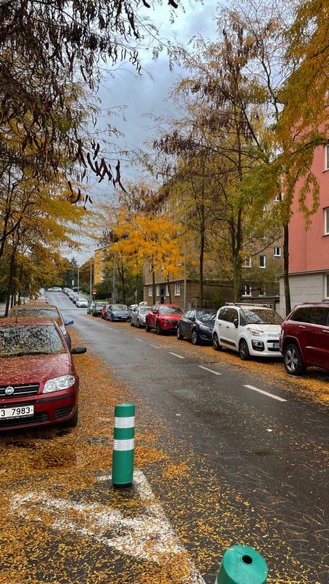 #prague #czechrepublic #czech #ssrpicss #aesthetic #fall #autumn #autumncolors #autumnmood Autumn In Prague, Prague In Autumn, Prague Fall, Prague Autumn, Europe 2023, Aesthetic Fall, Fall Autumn, So Beautiful, Prague