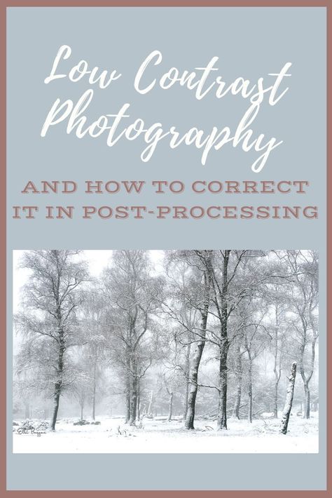 Low Contrast Photography, Composition Inspiration, Contrast Photography, Photography Composition, Landscape Photography Tips, Blog Pictures, Photography Words, Photo Editing Tutorial, Composition Photography